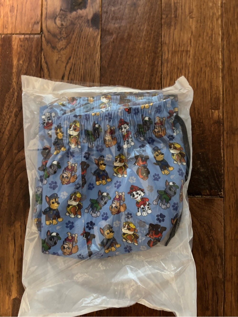 George Hats 8/9 Hybrid Shorts Paw Patrol Character Swim Unlined Swimsuit